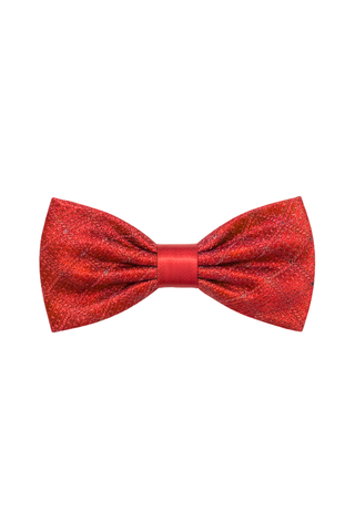 Stefano Ricci Embroidered Silk Bow Tie w/ Swarovski Crystals