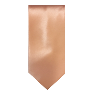 Brioni Copper Solid Silk Tie