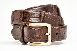 Tardini Brown Alligator Skin Belt (Gold Buckle)